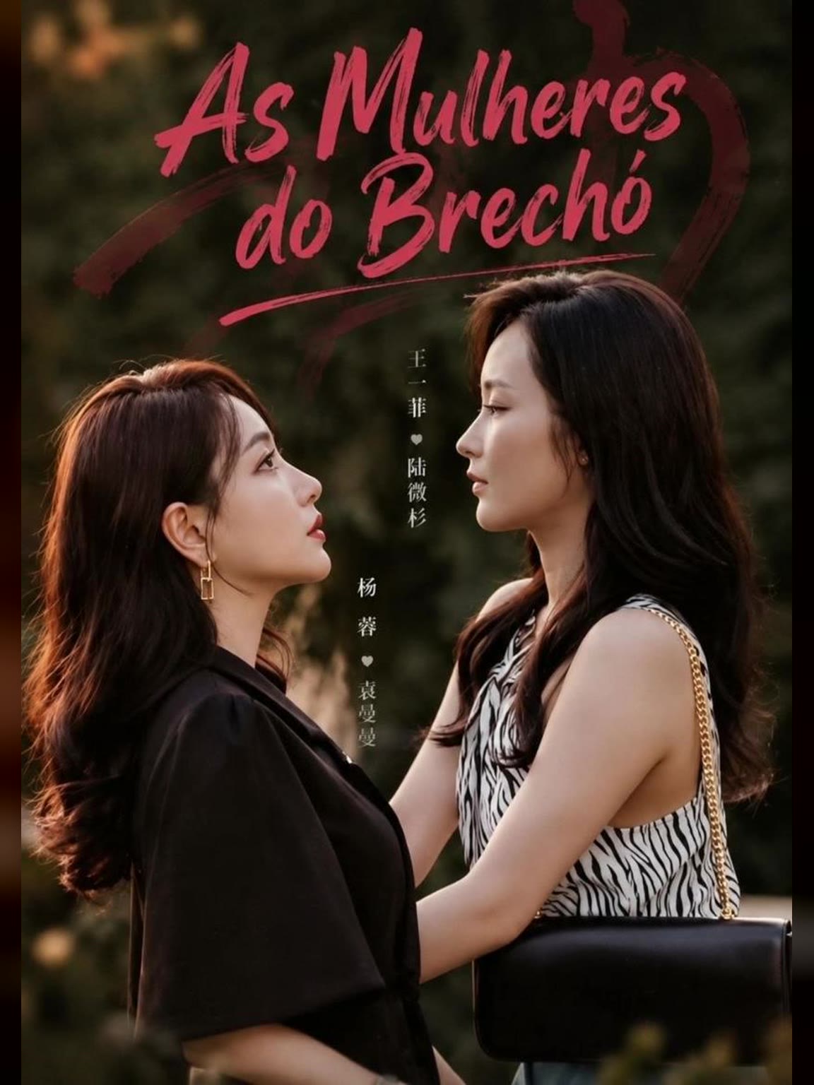 Capa de As Mulheres do Brechó