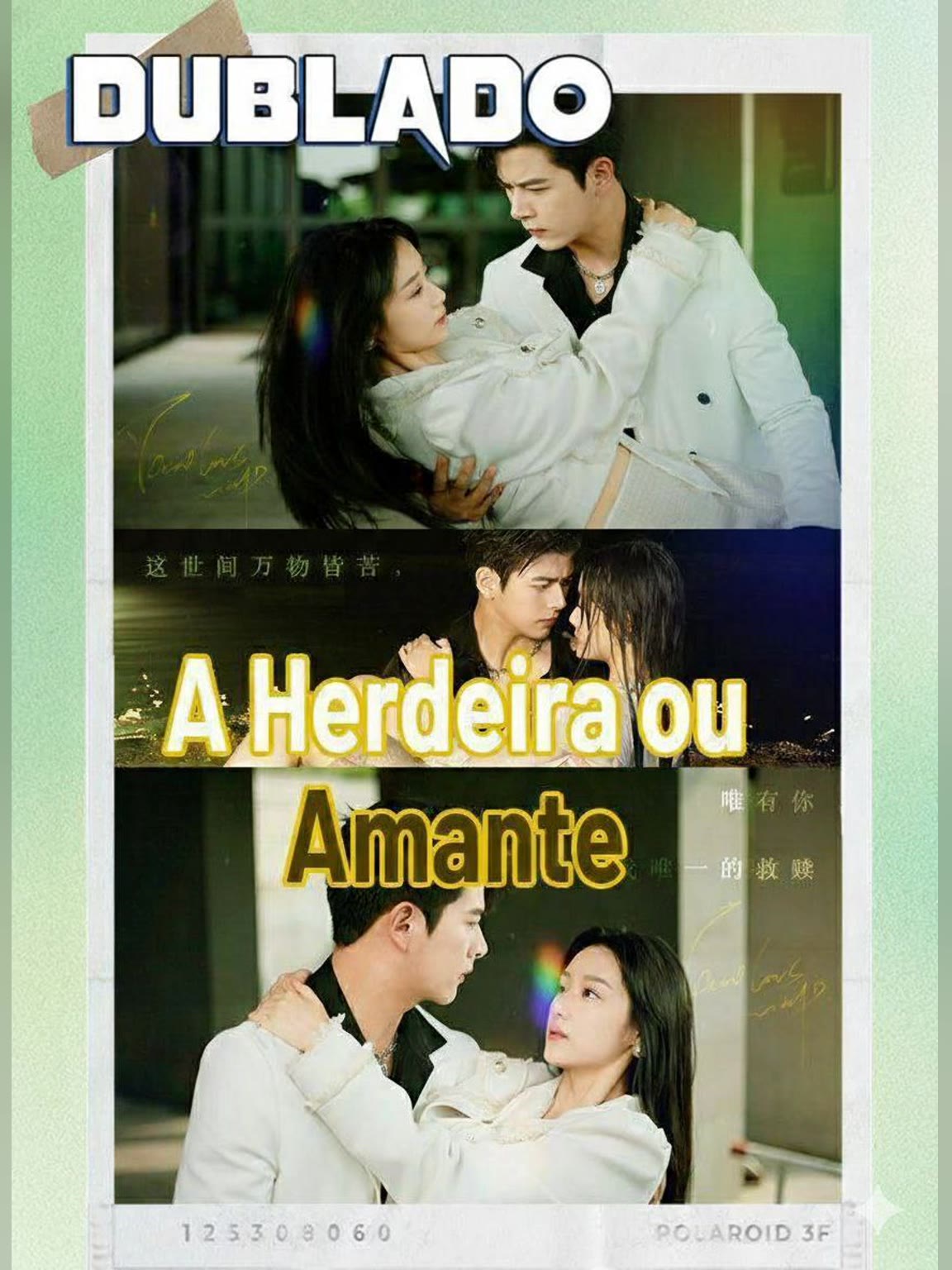 Capa de A herdeira ou Amante