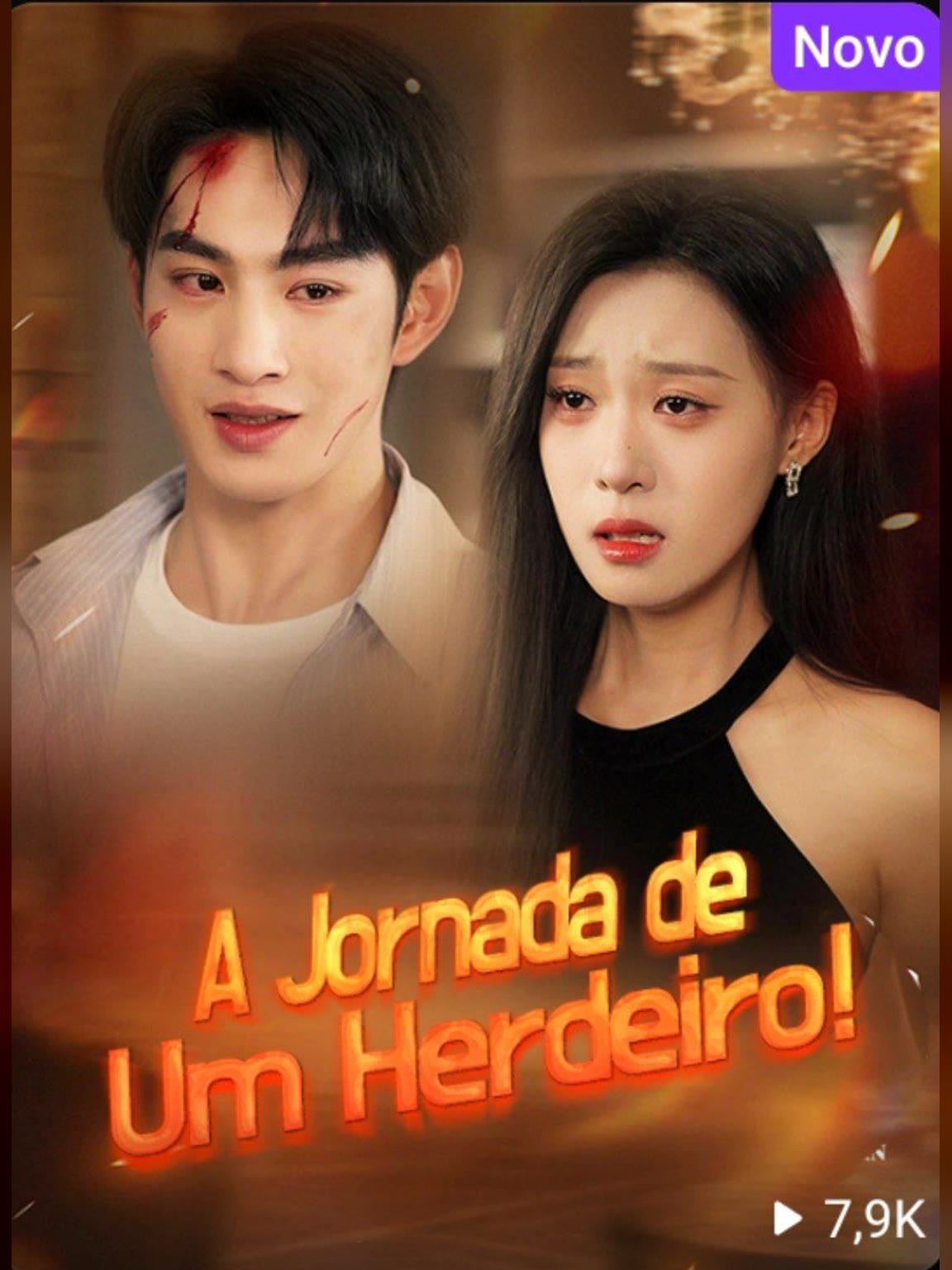 Capa de A Jornada de um Herdeiro!